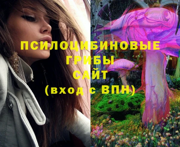прущая мука Абаза
