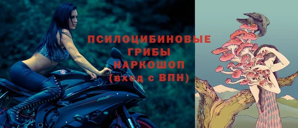 прущая мука Абаза
