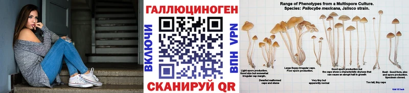Галлюциногенные грибы ЛСД  наркота  kraken онион  Кяхта 